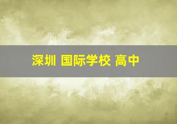 深圳 国际学校 高中